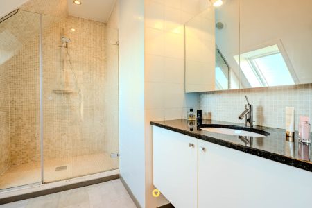 Unieke villa met magnifiek uitzicht over de Rupel, 4 à 5 slaapkamers, 2 badkamers en tuin met zwemvijver - Kleistraat 41, Boom - Te koop via De Woonmakelaar